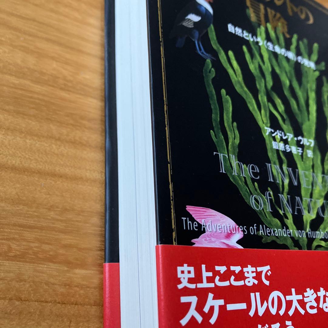 フンボルトの冒険　自然という（生命の網）の発明