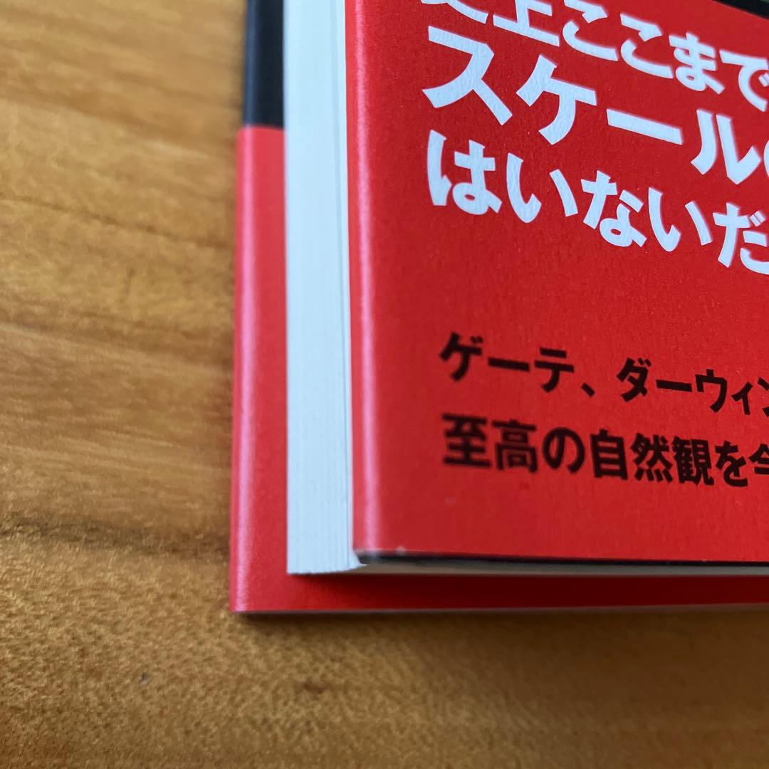 フンボルトの冒険　自然という（生命の網）の発明