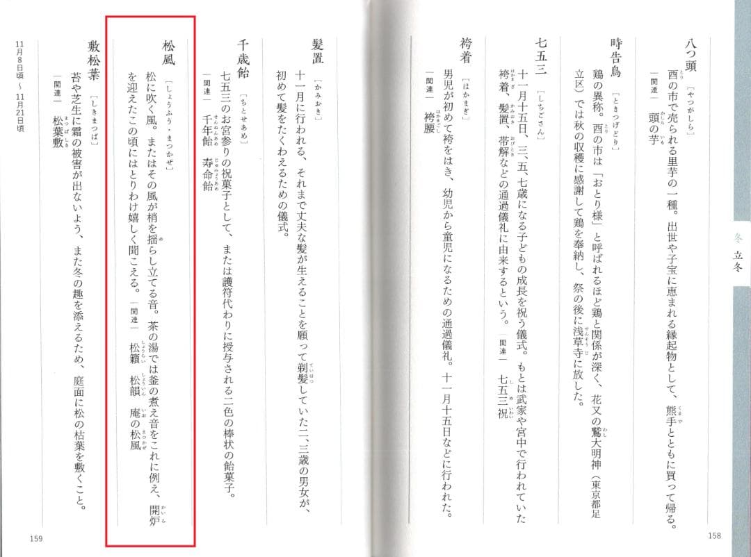 大徳寺511世管長 立花大亀造『竹茶杓』銘：松風（共箱・共筒）