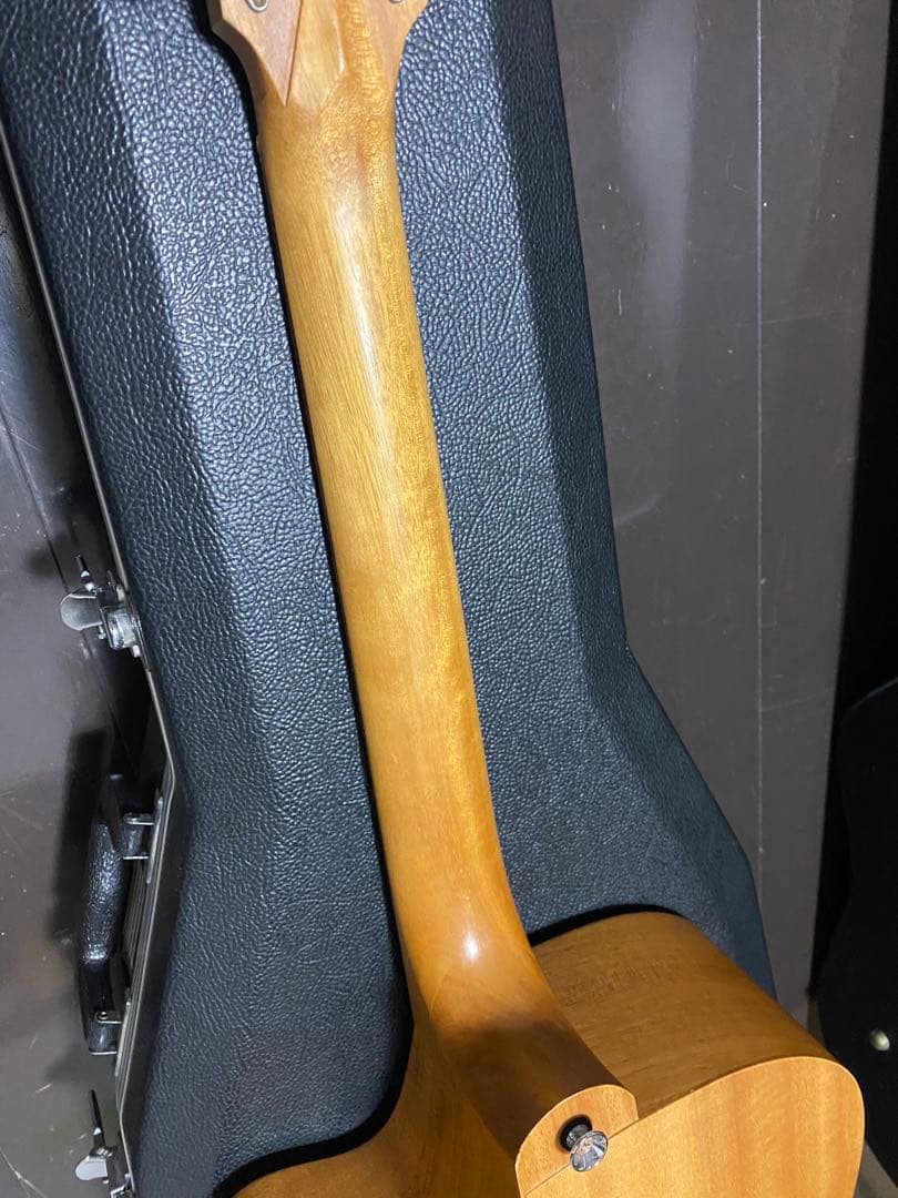 アコースティックギター　cole clark