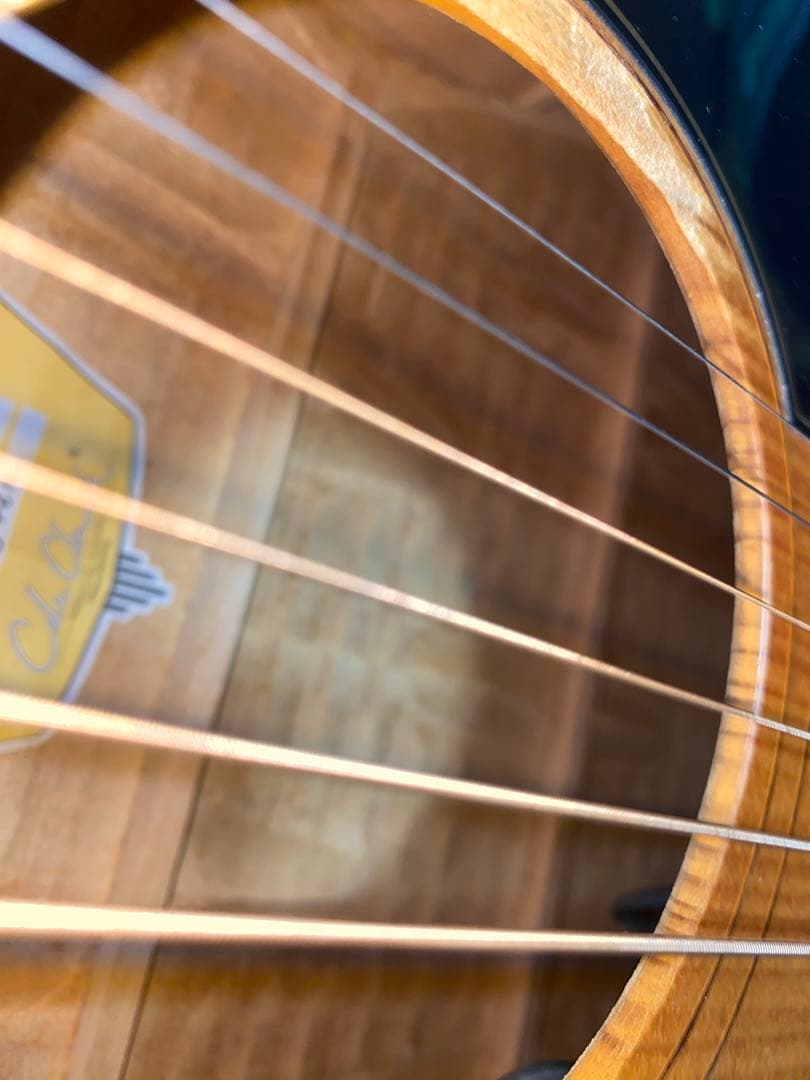 アコースティックギター　cole clark