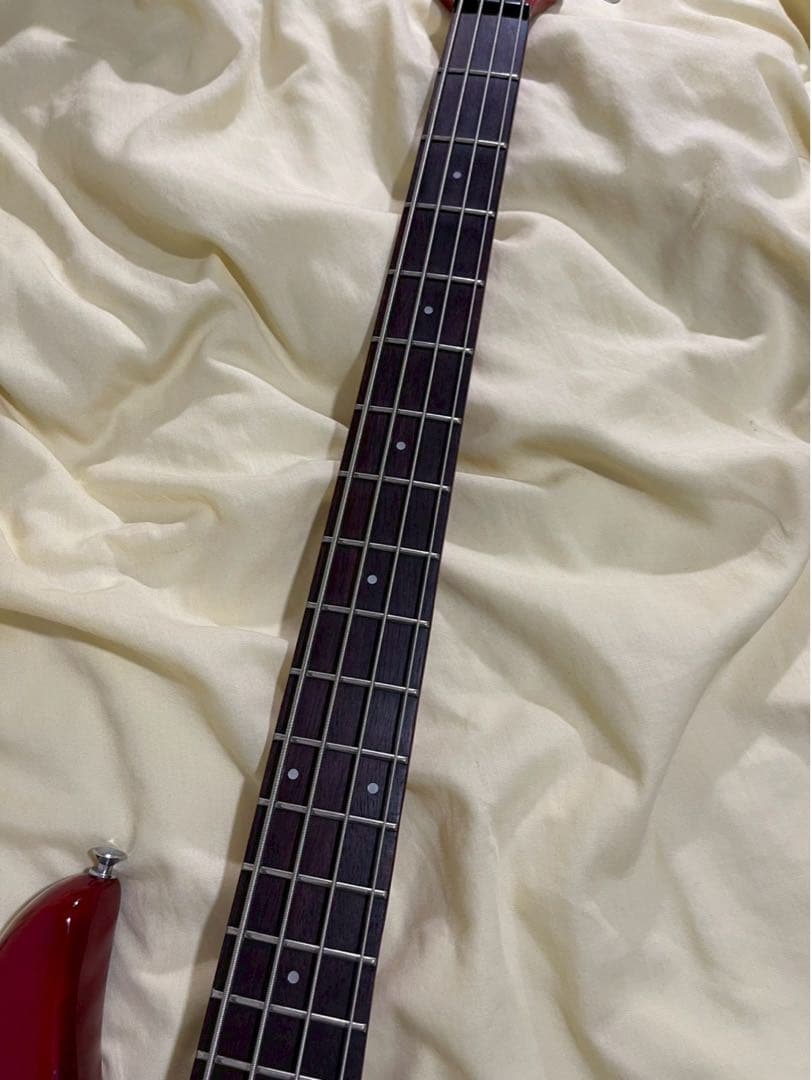 Aria Pro II ASB-60 スルーネック 荒井貿易