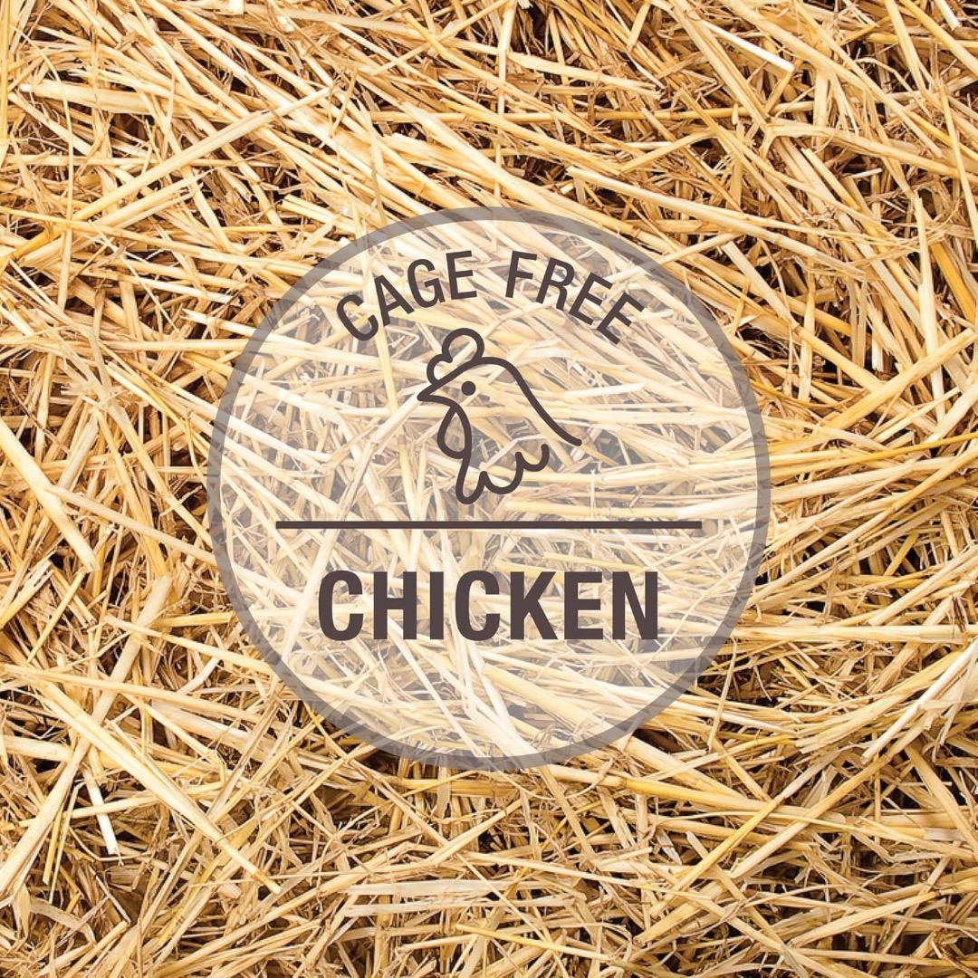 K9 Natural チキン フィースト 500g ケーナイン ナチュラル 犬