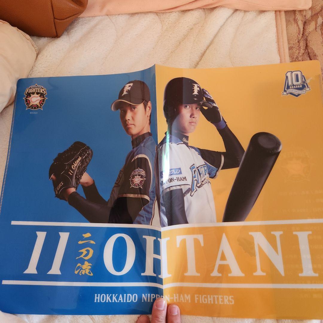 大谷翔平 クリアファイルセット