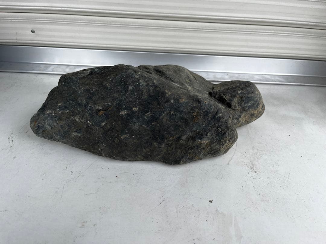 佐治石〈25〉【Taiyoメダカ】