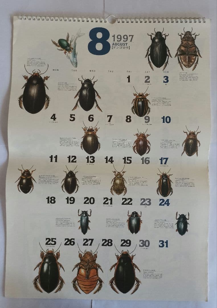 BE-PAL ビーパル カレンダー 新品未使用 1997年　ヴィンテージ