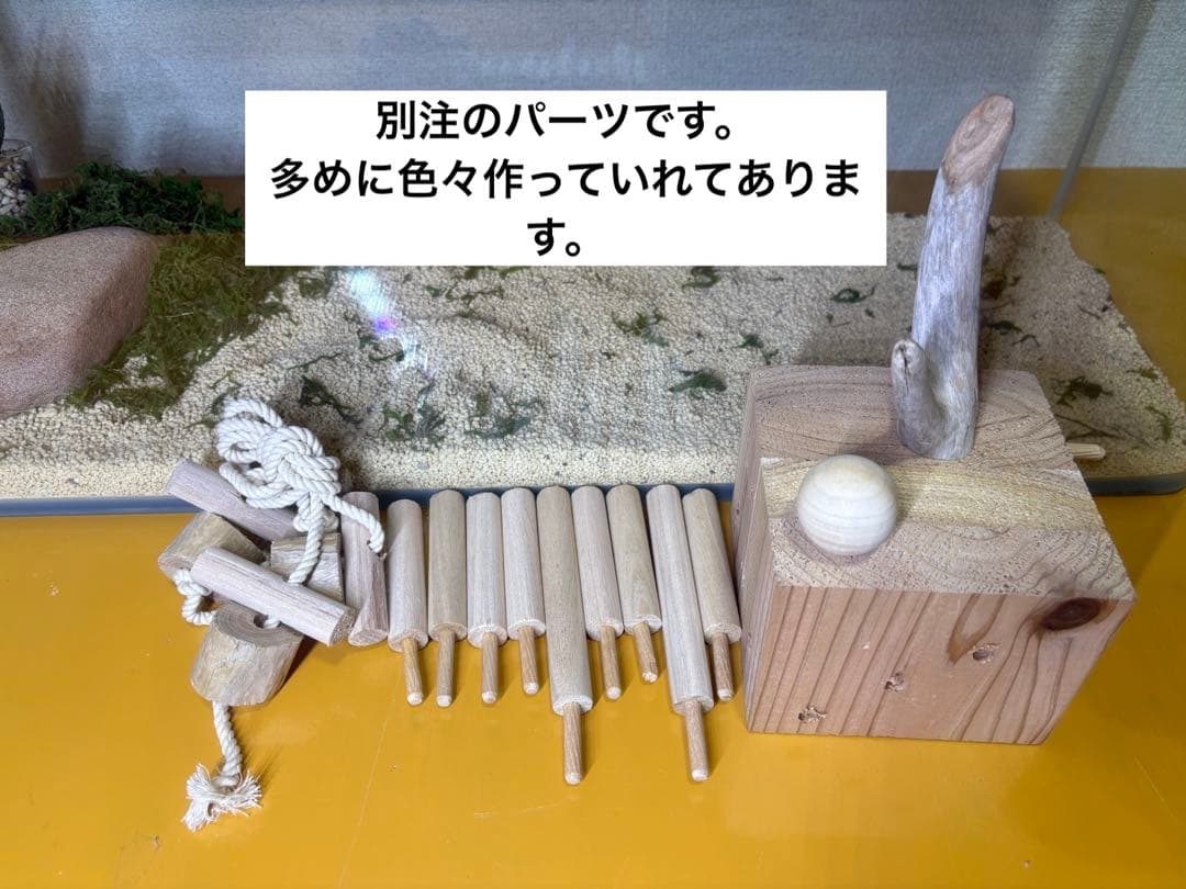 特別注文の品　バードアスレチック