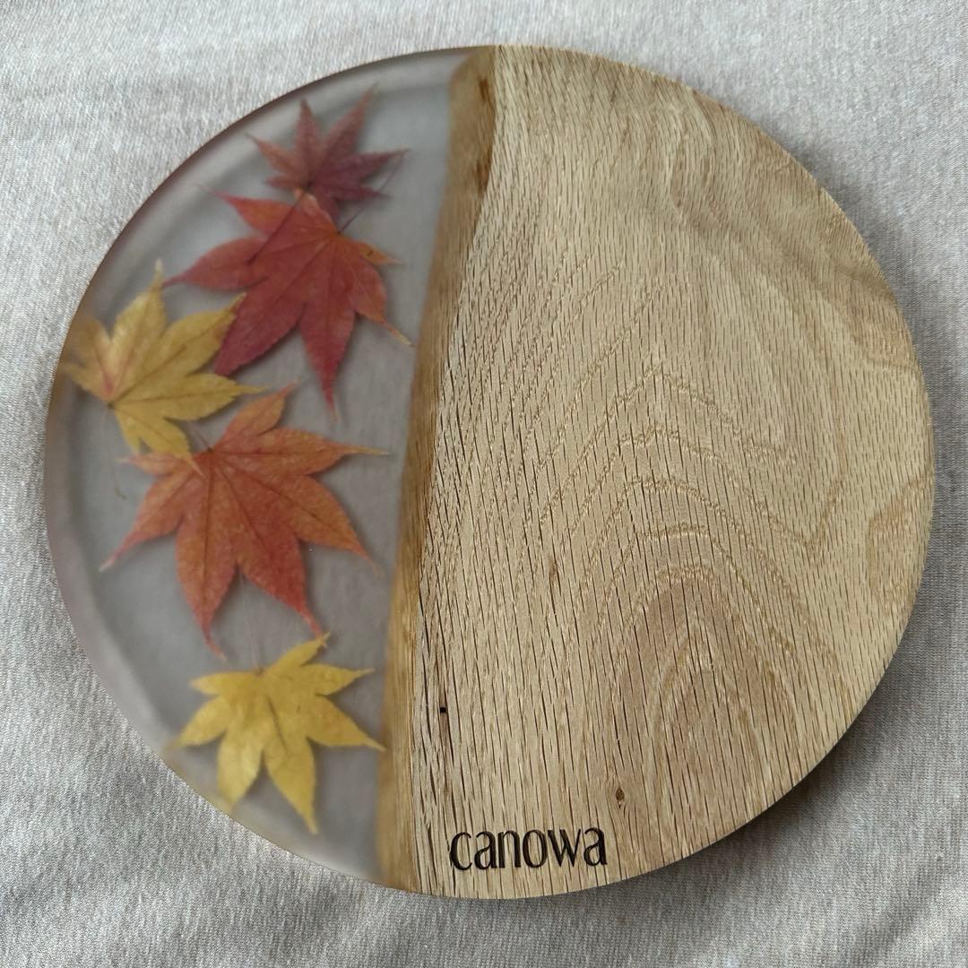 新品 canowa ウッドレジンプレート MOMIJI 紅葉 木製 食器 ボード