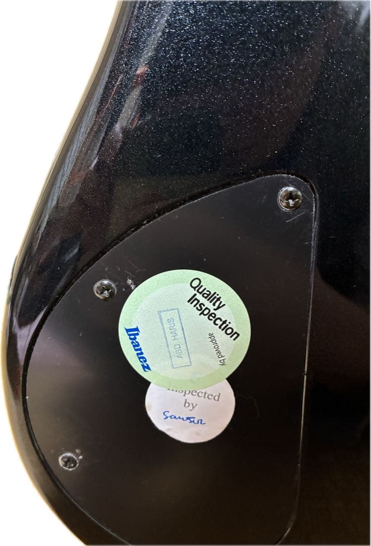 ほぼ未使用Ibanez SDGR SR350アイバニーズ　エレキベース