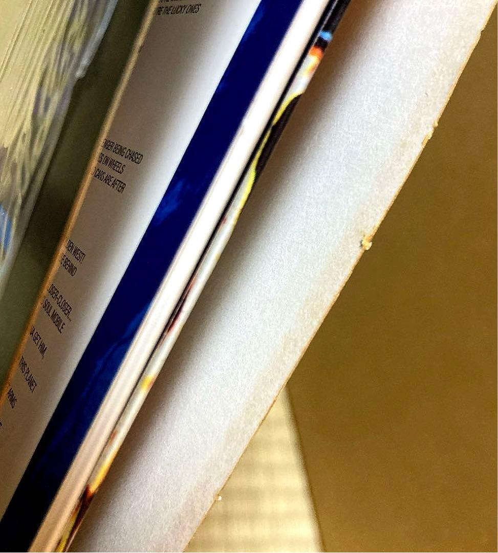 GunsN'Roses Use Your Illusion II ガンズ LP