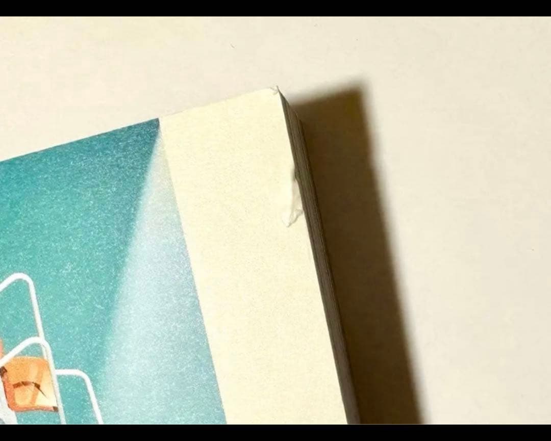 stay in playground CD 全ての付属品付き