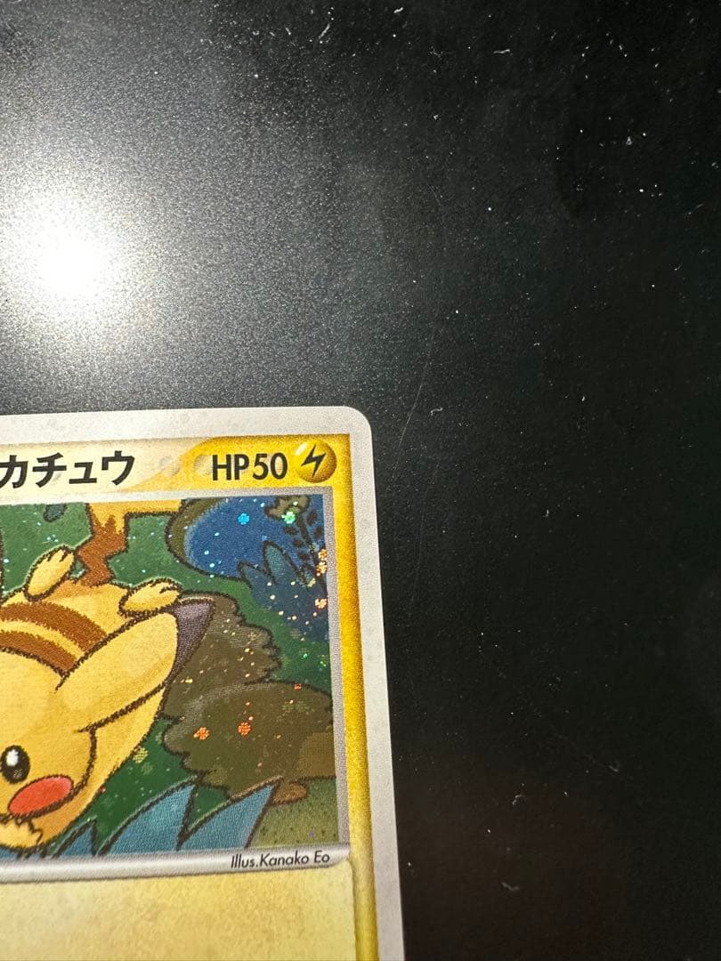 ポケパークのピカチュウ　プレミアムファイル