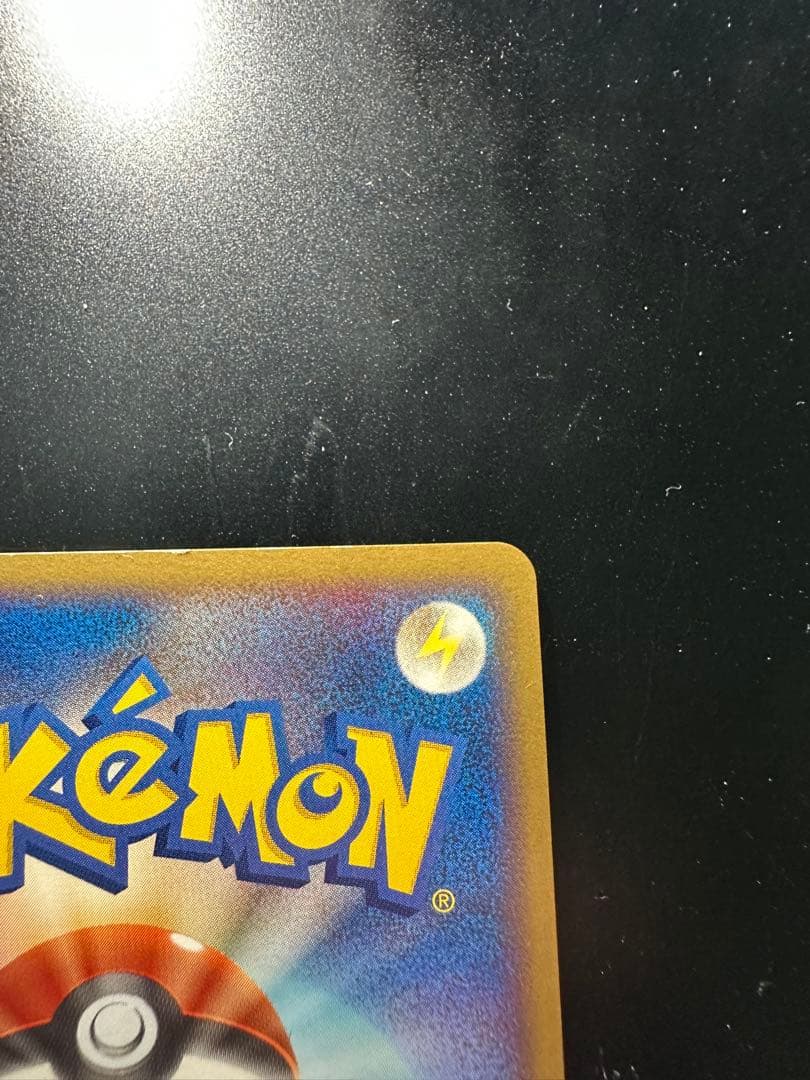 ポケパークのピカチュウ　プレミアムファイル