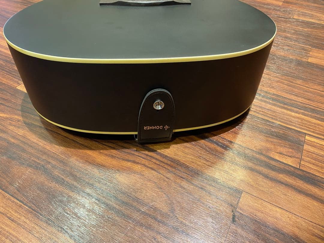 ✴️即購入不可コメント必須 Donner DAG-1CB ギター マットブラック