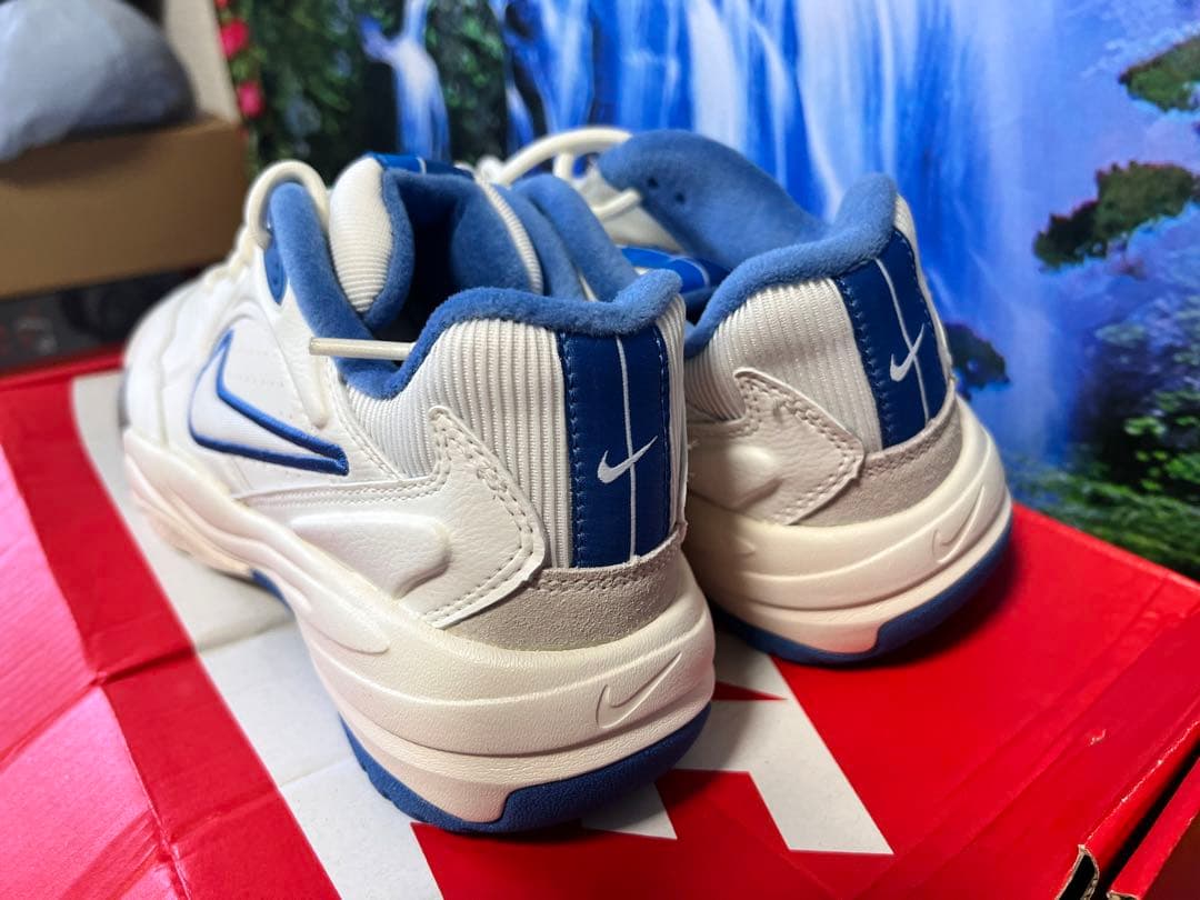 シューズ(男性用) NIKE size 24.5cm