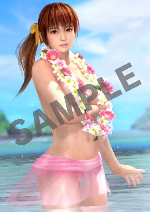 DEAD OR ALIVE5 LAST ROUND ps4 お風呂ポスター全8種