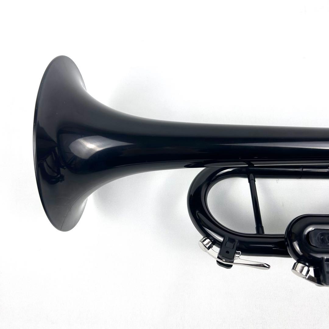 【極美品】hyTech pTrumpet ピートランペット ハイテック ブラック