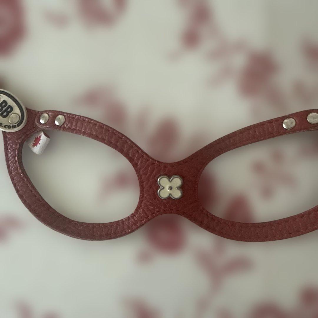 バディベルト✴︎ハーネス、リードセット