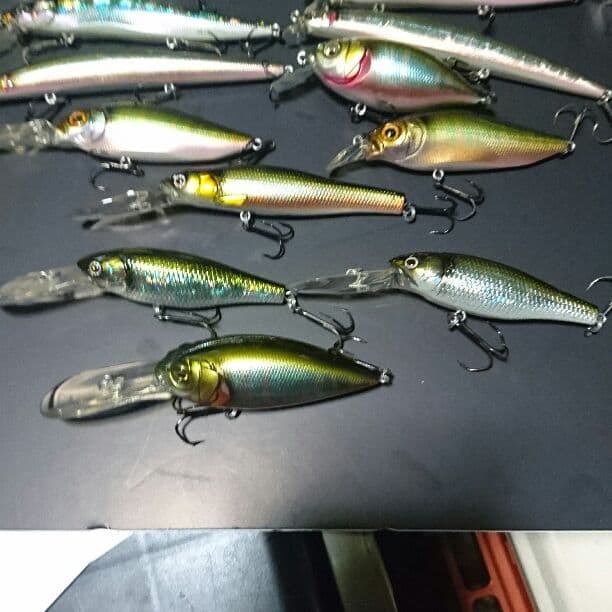 メガバス オイカワカラー