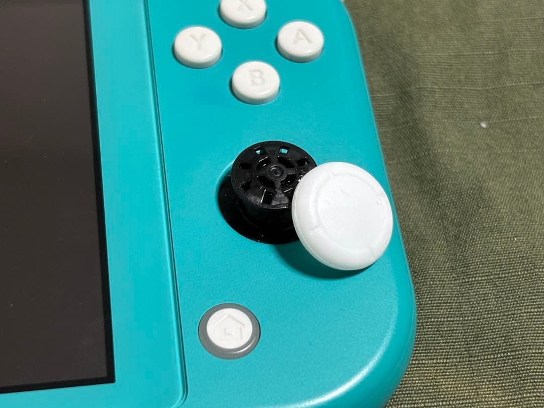 Nintendo Switch Lite 本体　ターコイズ 動作OK ケース付