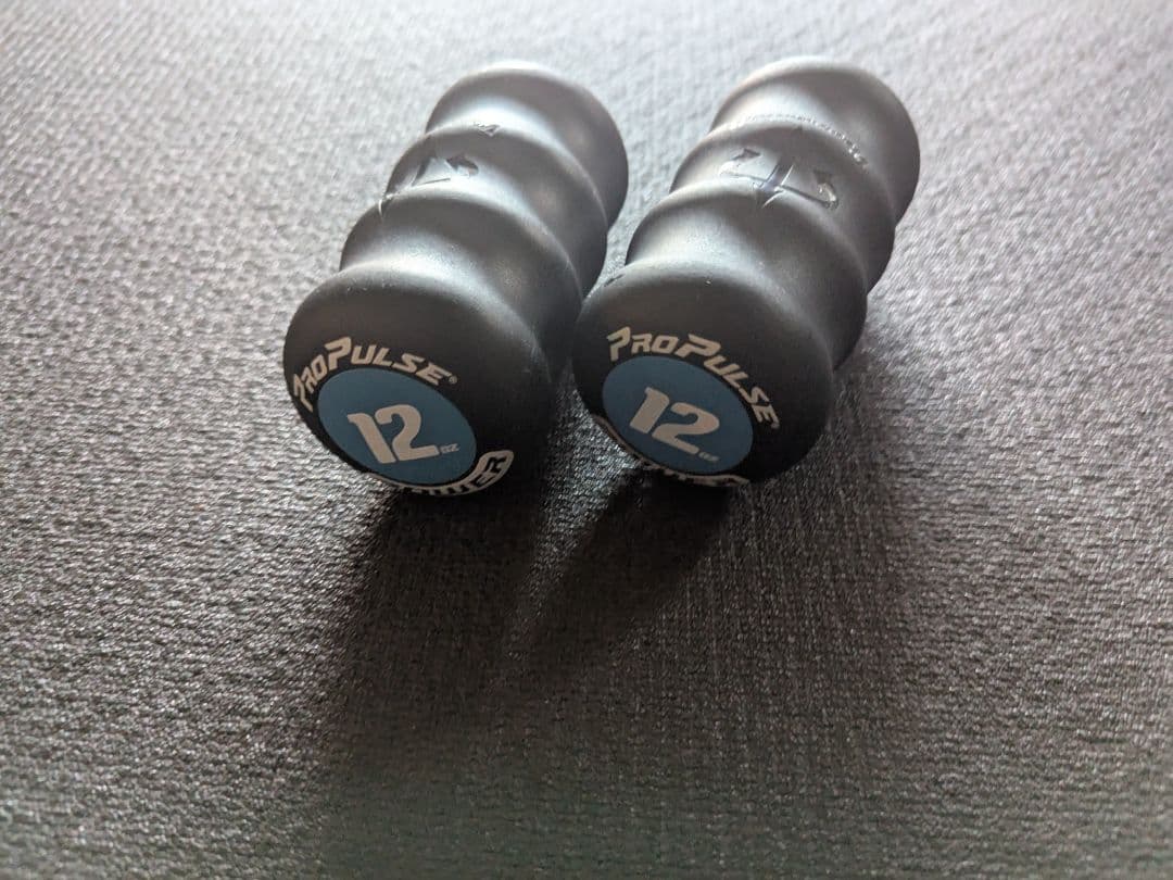 ProPulse 340g 中古 正規品 体幹 リズム 格闘技