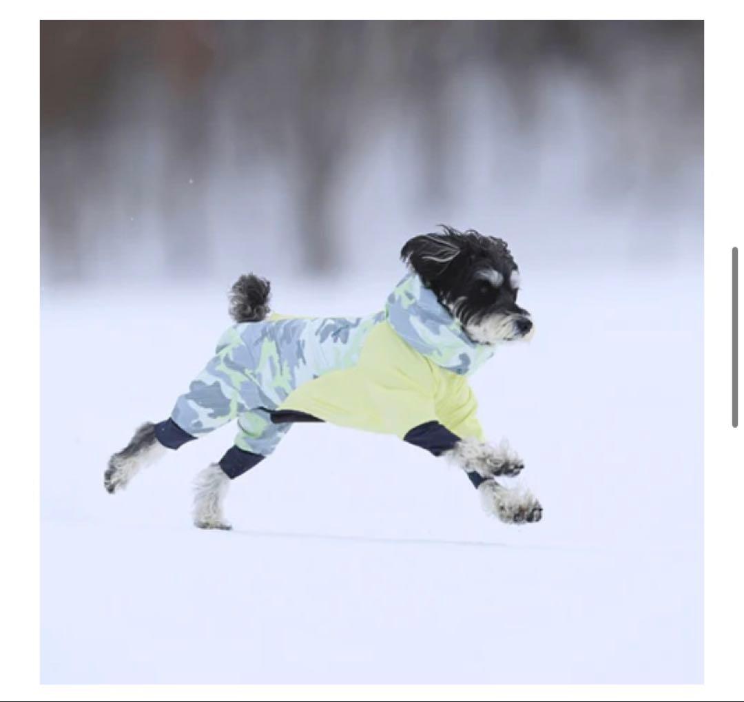 完売人気サイズ！！ALPHAICON❤︎ アルファアイコン❤︎ドッグガードエア❤︎L