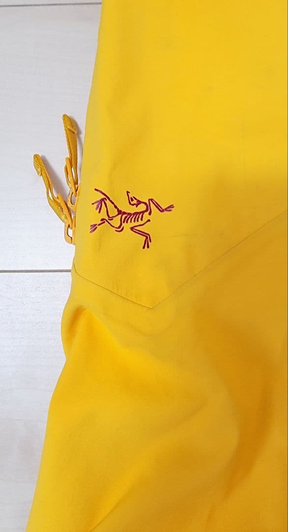 アークテリクス ARC'TERYX センチネル パンツ レディース XS