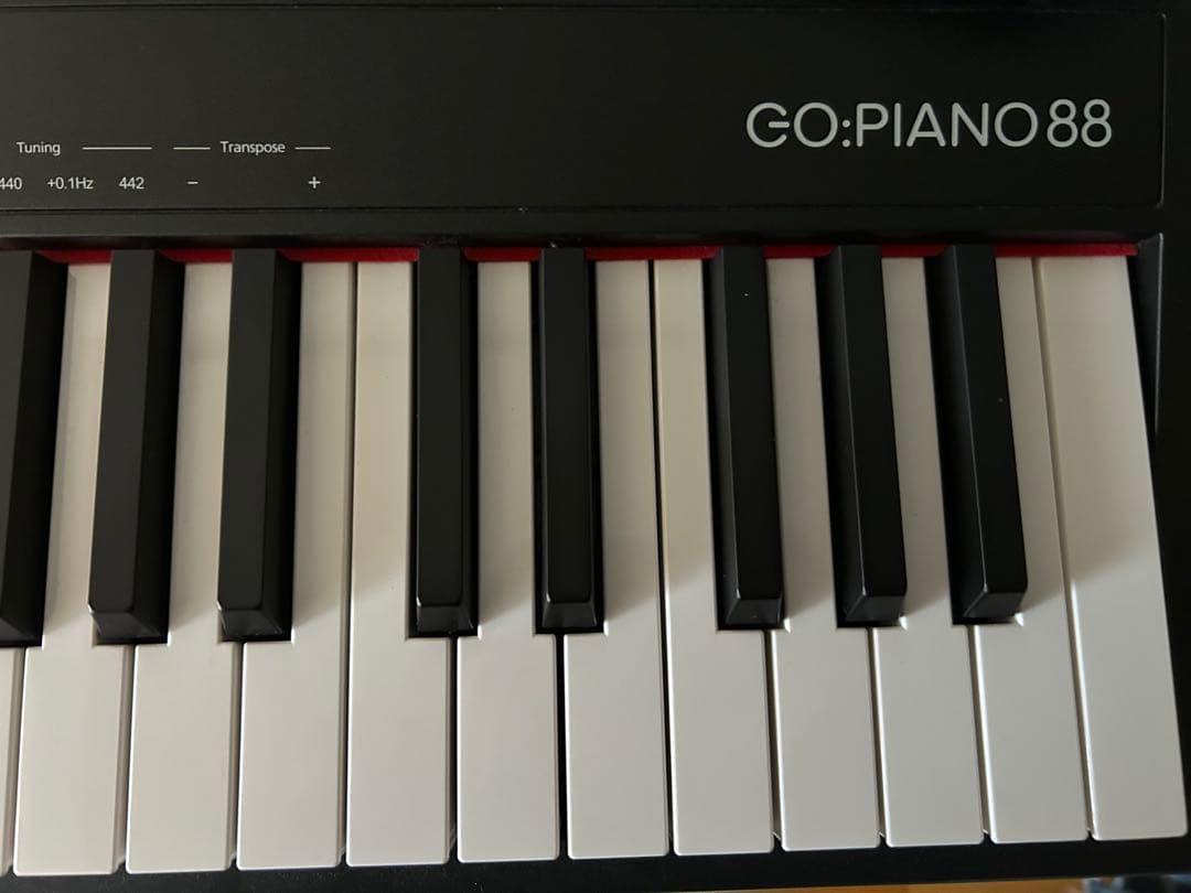 Roland GO:PIANO88 (GO-88P)88鍵盤 電子ピアノ【美品】
