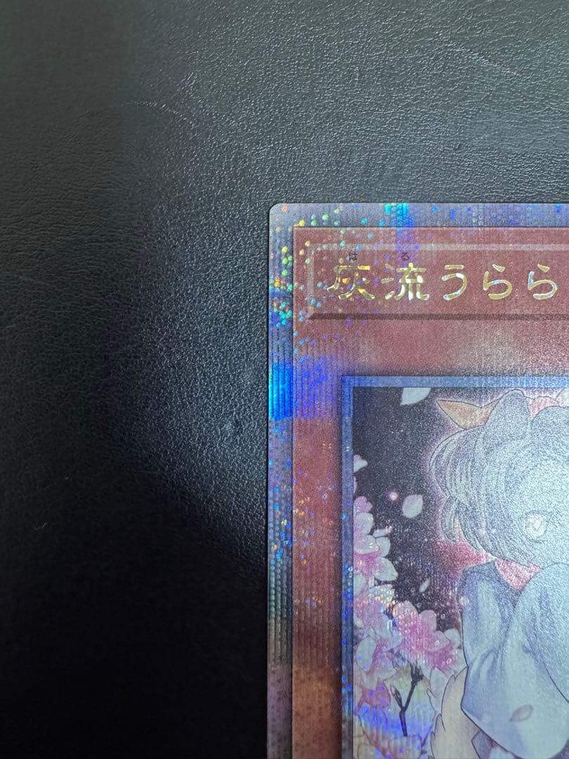 遊戯王 灰流うらら 絵違い 25th クオシク