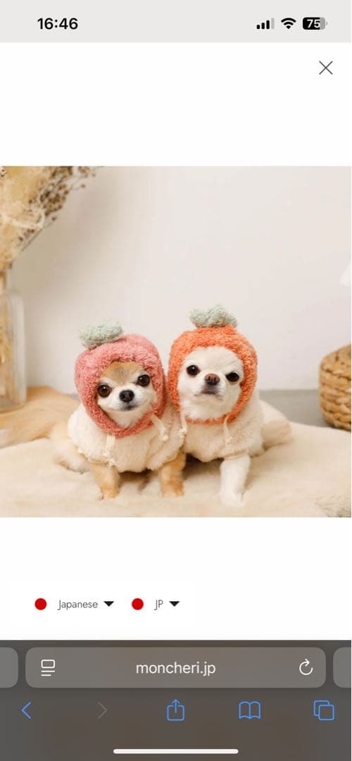 モンシェリ セット ※コメントで送料込みに