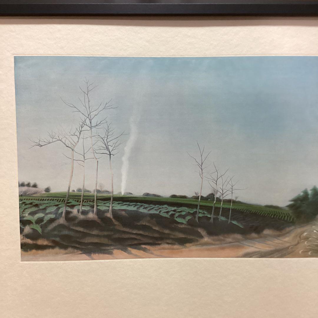 天才画家速水御舟　作品集大作編より　便利堂監修　画集NO 13 【平野晴景】