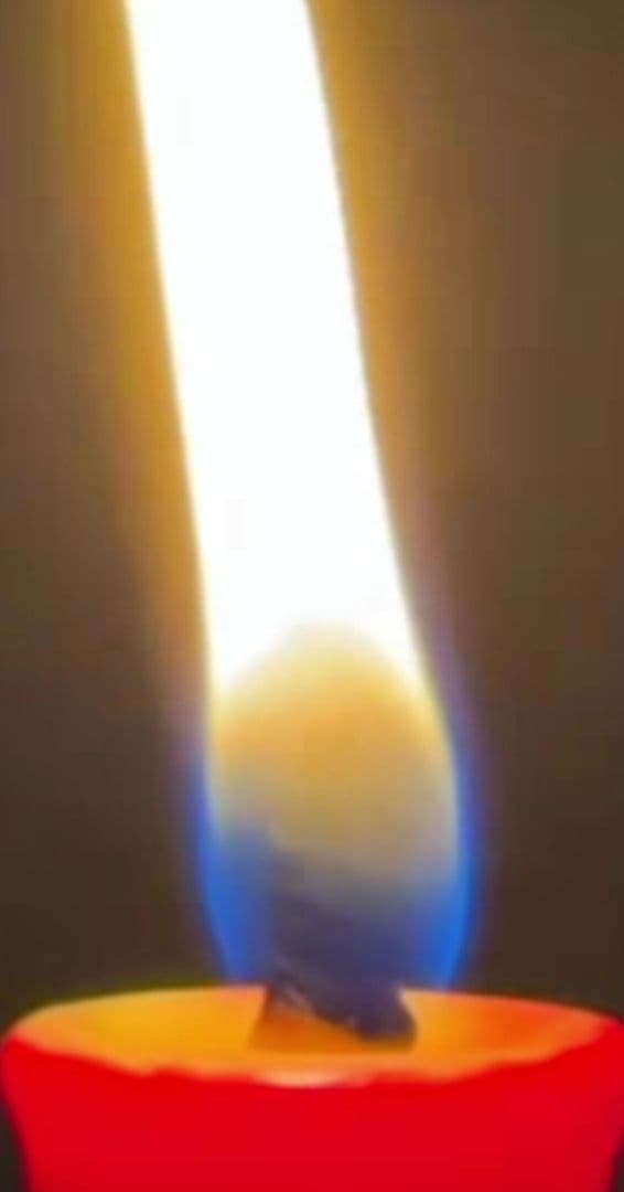 下鴨神社　御神紋入飾り絵蝋燭