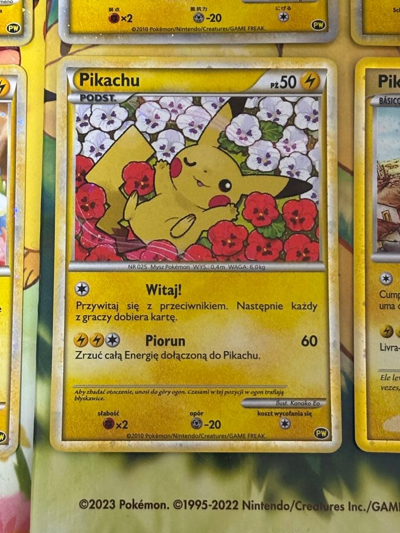 【高騰中↑】PWコンプリート ピカチュウ ワールドコレクション2010