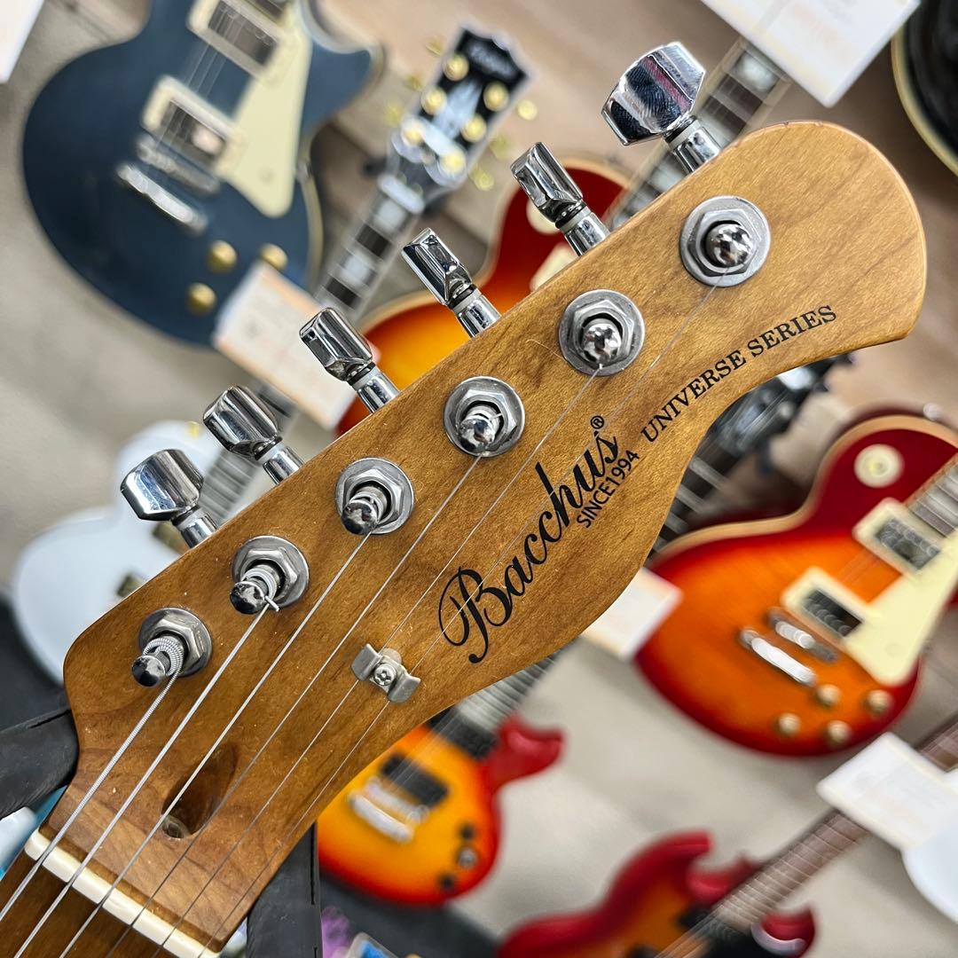 【ソフトケース追加、直接引き取り11294】Bacchus BTE-2-RSM