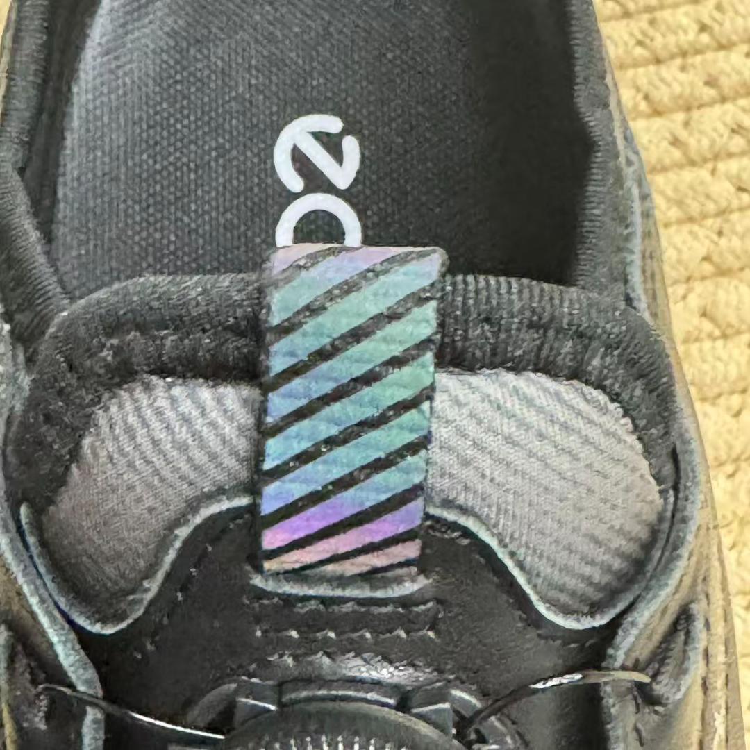 ECCO BIOM C4 BOA 26.5cm ブラック