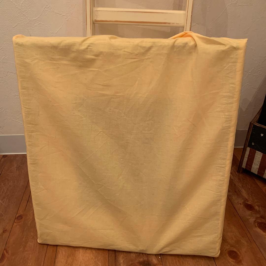 レオナルド・ダ・ヴィンチ　ほつれ髪の女