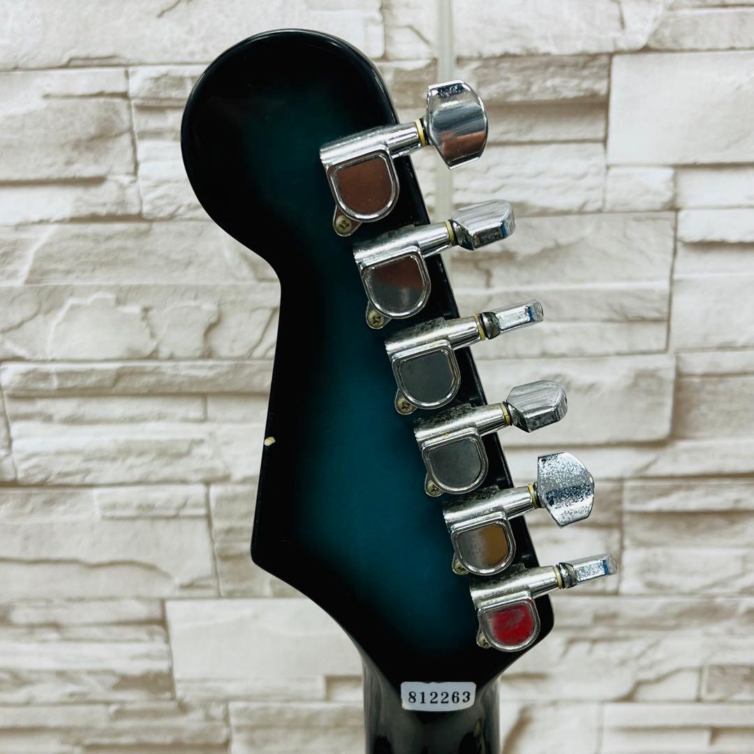 Fernandes フェルナンデス THE FUNCTION エレキギター