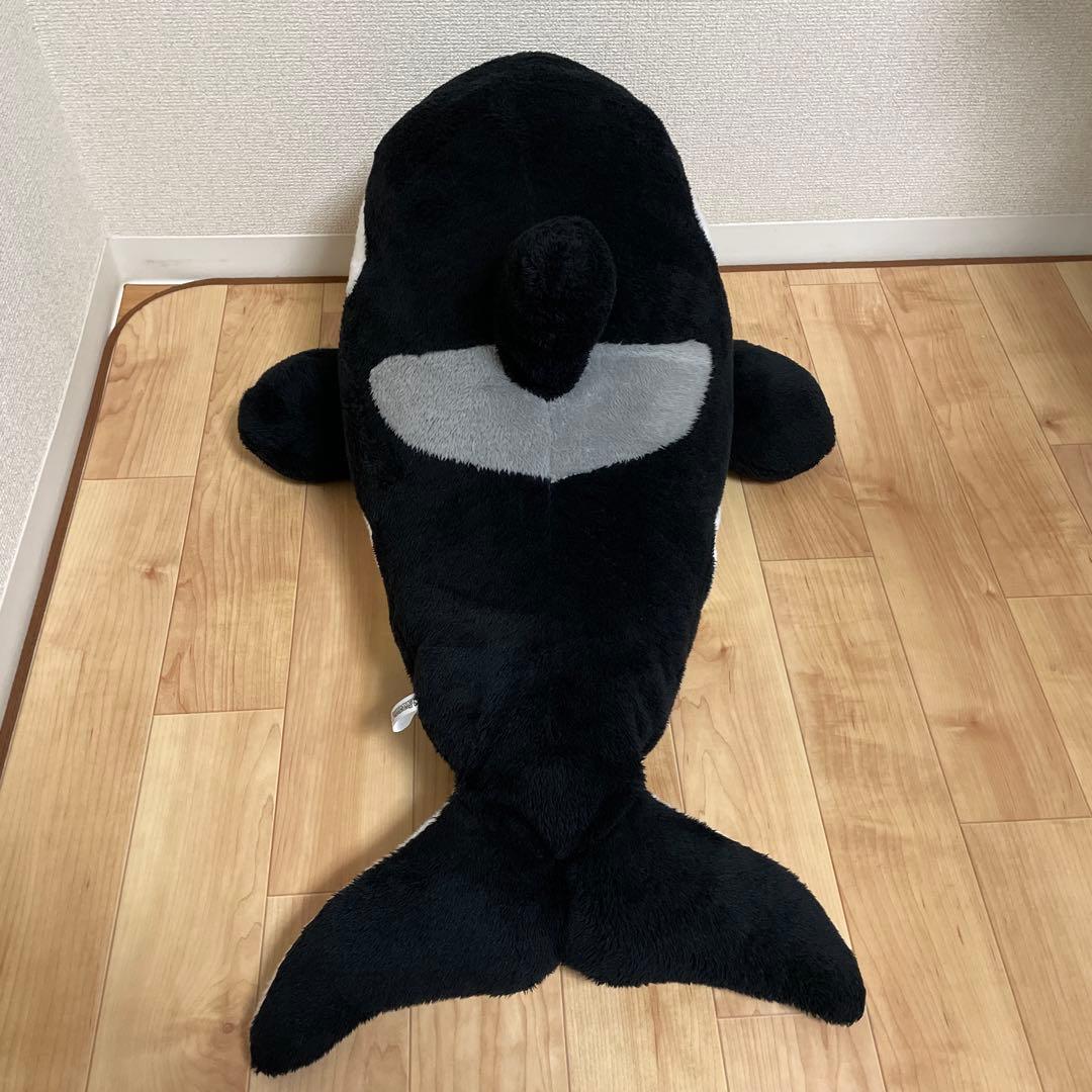 シャチ　ぬいぐるみくじ　1等