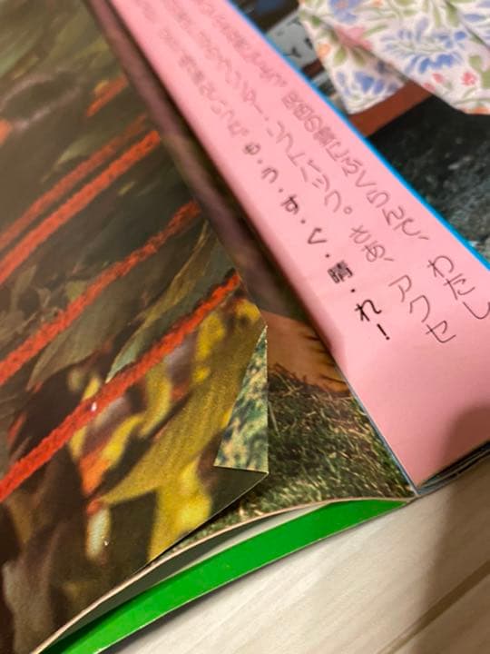 アグネス ラム 特集号　映画ファン　7月臨時増刊号　【希少】