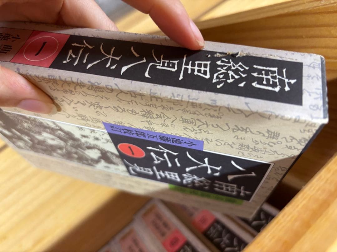 南総里見八犬伝 全10巻 岩波書店 曲亭馬琴作