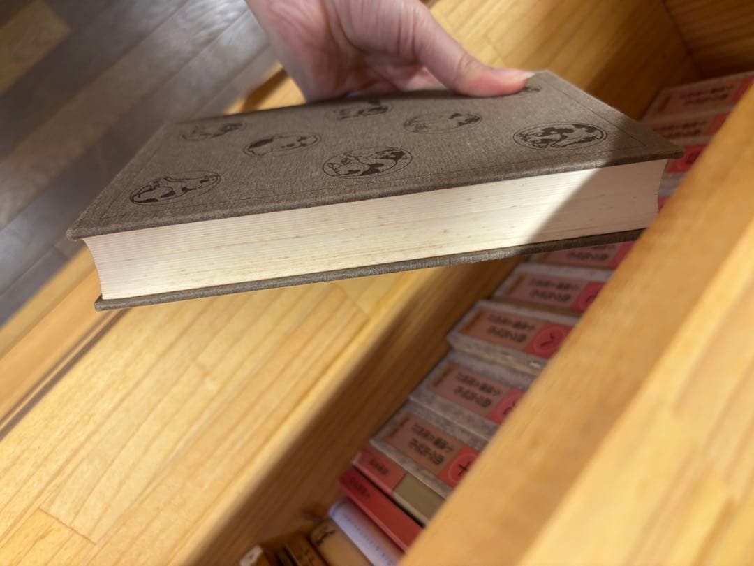 南総里見八犬伝 全10巻 岩波書店 曲亭馬琴作