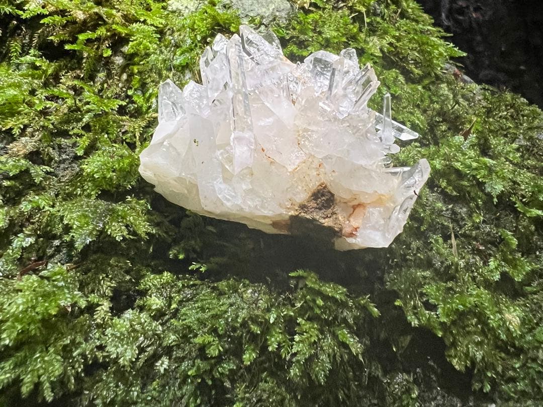 龍脈の精髄 水晶クラスター 「光を宿す透明なる守護」 九州産国産水晶宝石質AAA