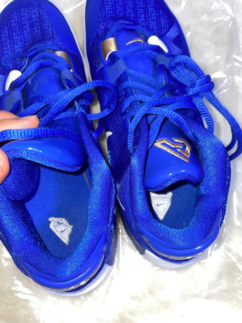 完売モデル ナイキ ズーム フリーク1 ギリシャ