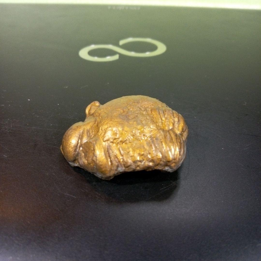 三葉虫　化石　fossil　ボリビア産　レア　Fossil管理②