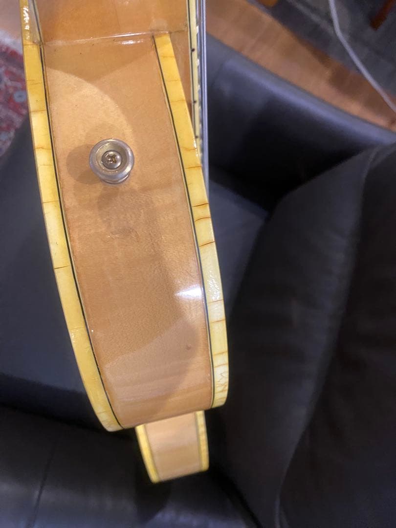 Greco / BR-110N Birdland ステッカーナンバードPAF搭載