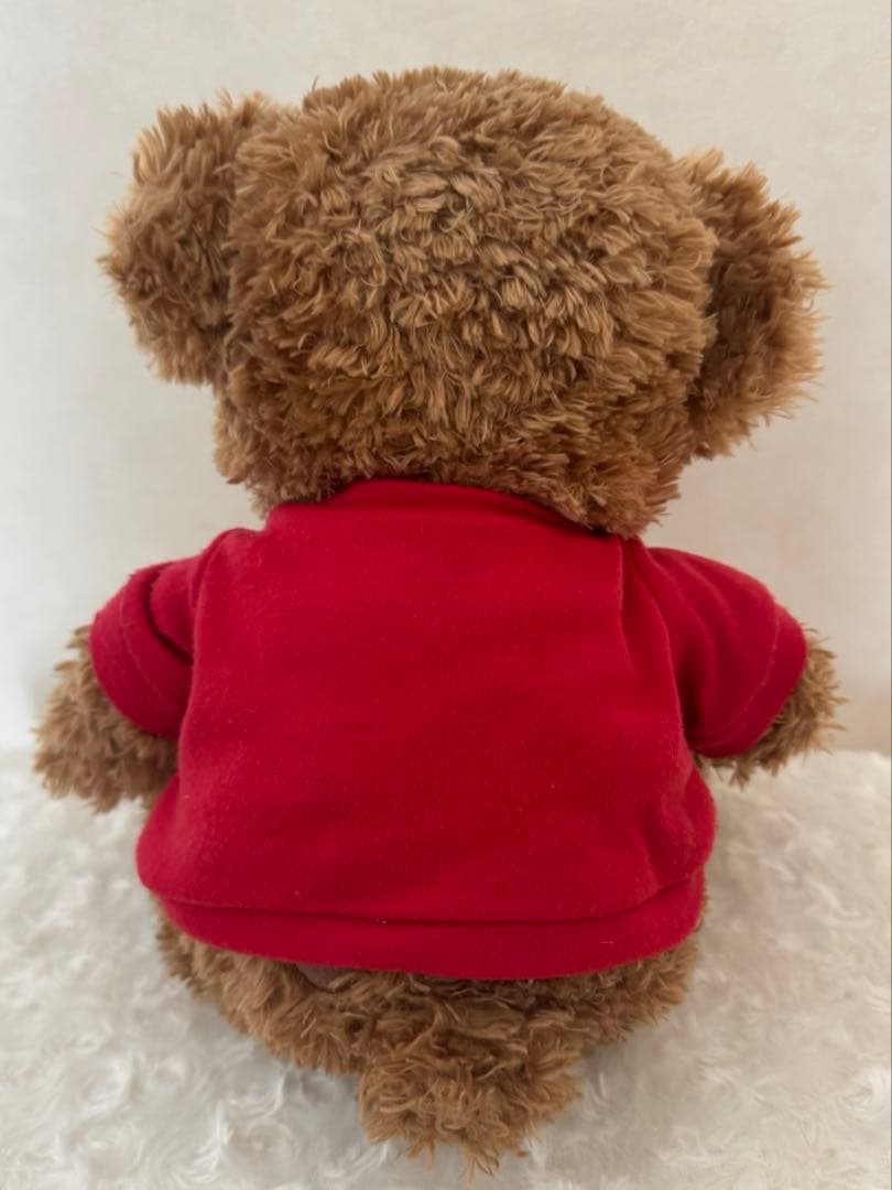 【レア】NYC ダッフィー2005 ディズニーベア