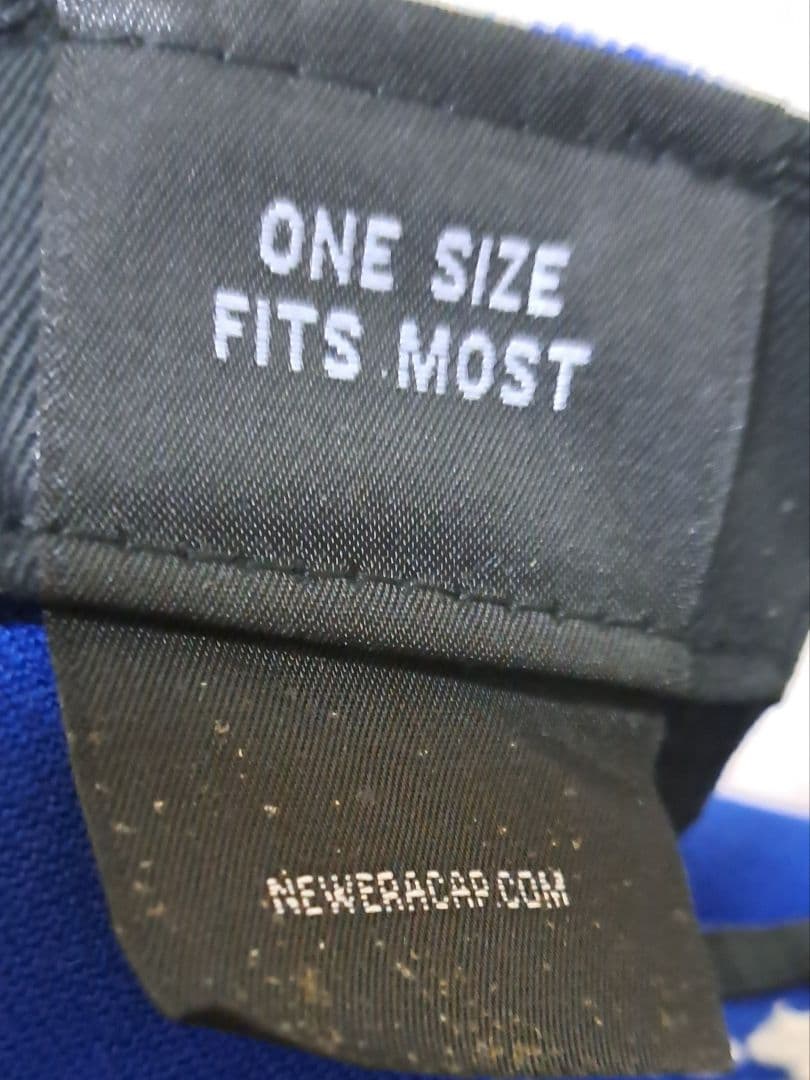 東京ディズニーリゾート ミッキーマウス　ドナルドダック 　コラボ　キャップ