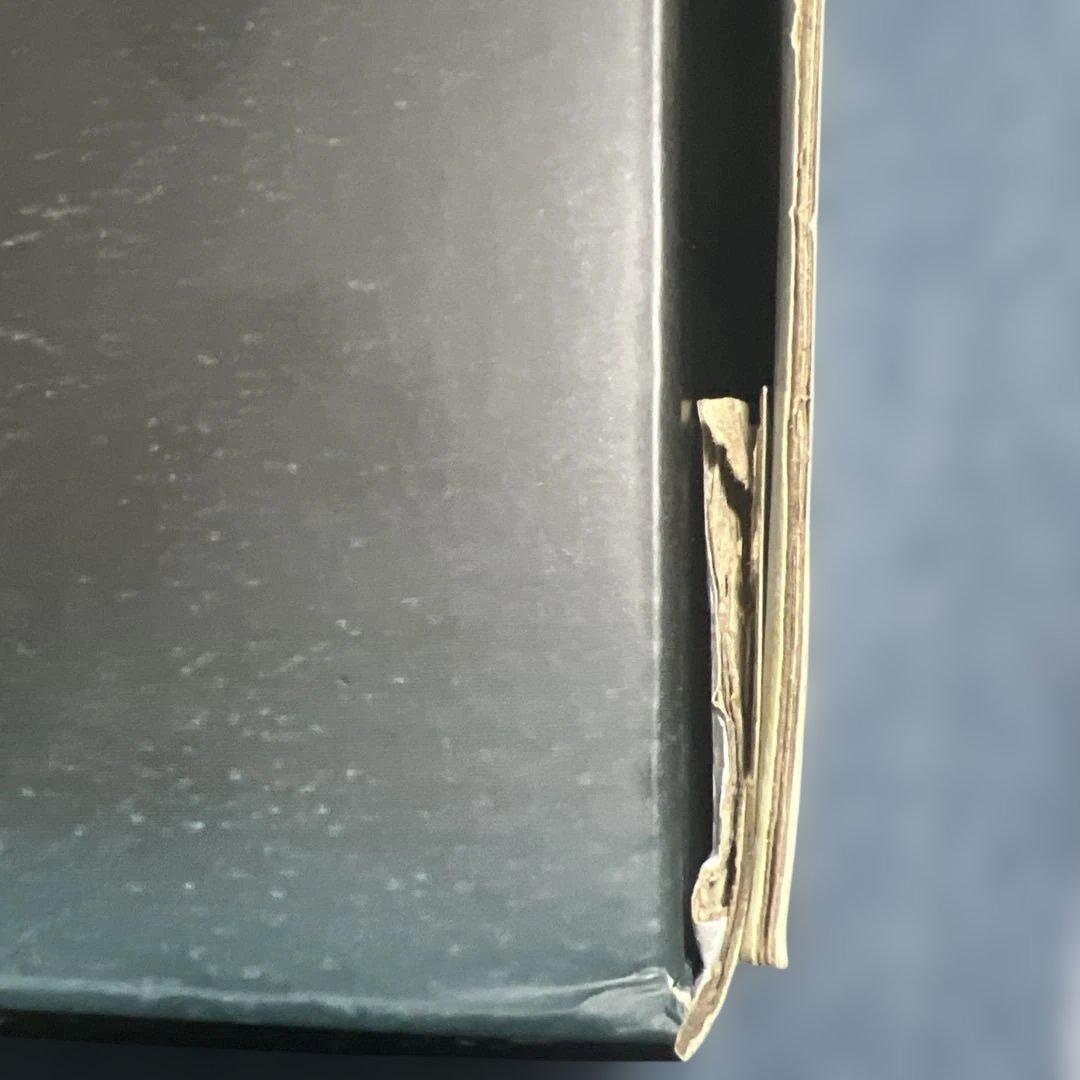 アークナイツ　濁心スカジ 昇進段階二ver. 1/7スケール　特典付き