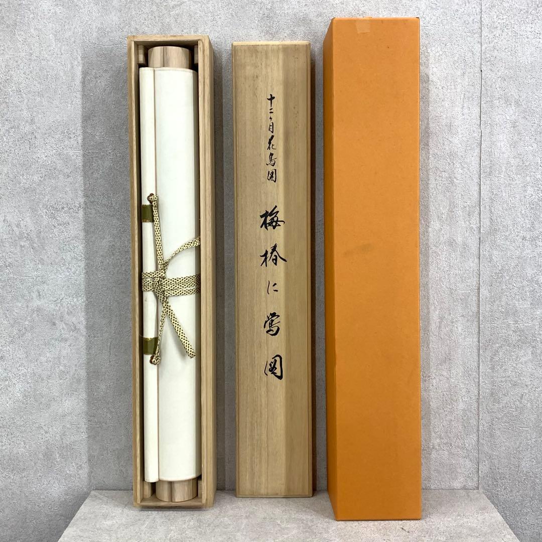 掛軸 酒井抱一 梅椿に鶯図 木箱 十二ヶ月花鳥図 工芸 太巻 7-24
