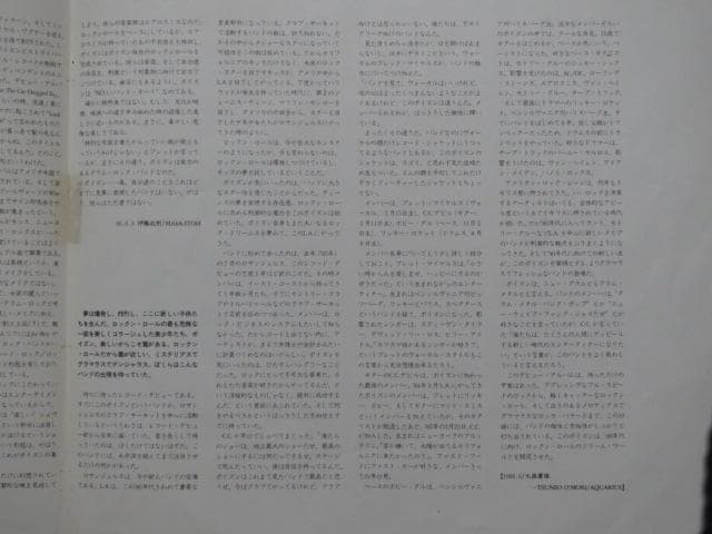 ポイズン「ポイズン・ダメージ」LPレコード 国内盤 帯付